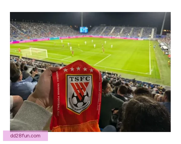 三选一难抉择名记曝泰山外援中卫难产球迷呼吁留下洛佩斯最省事